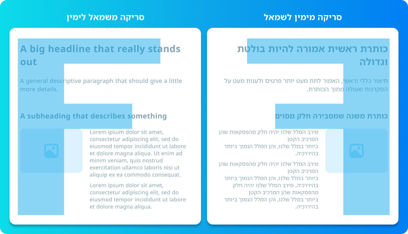 העין סורקת העין סורקת